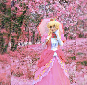 .+* Into the pink forest *+.