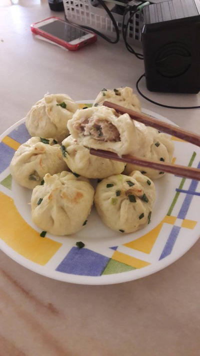 Home made dumplings ~