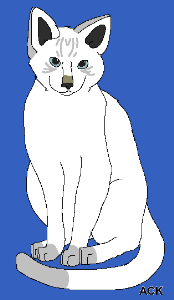 Warrior cats rpg