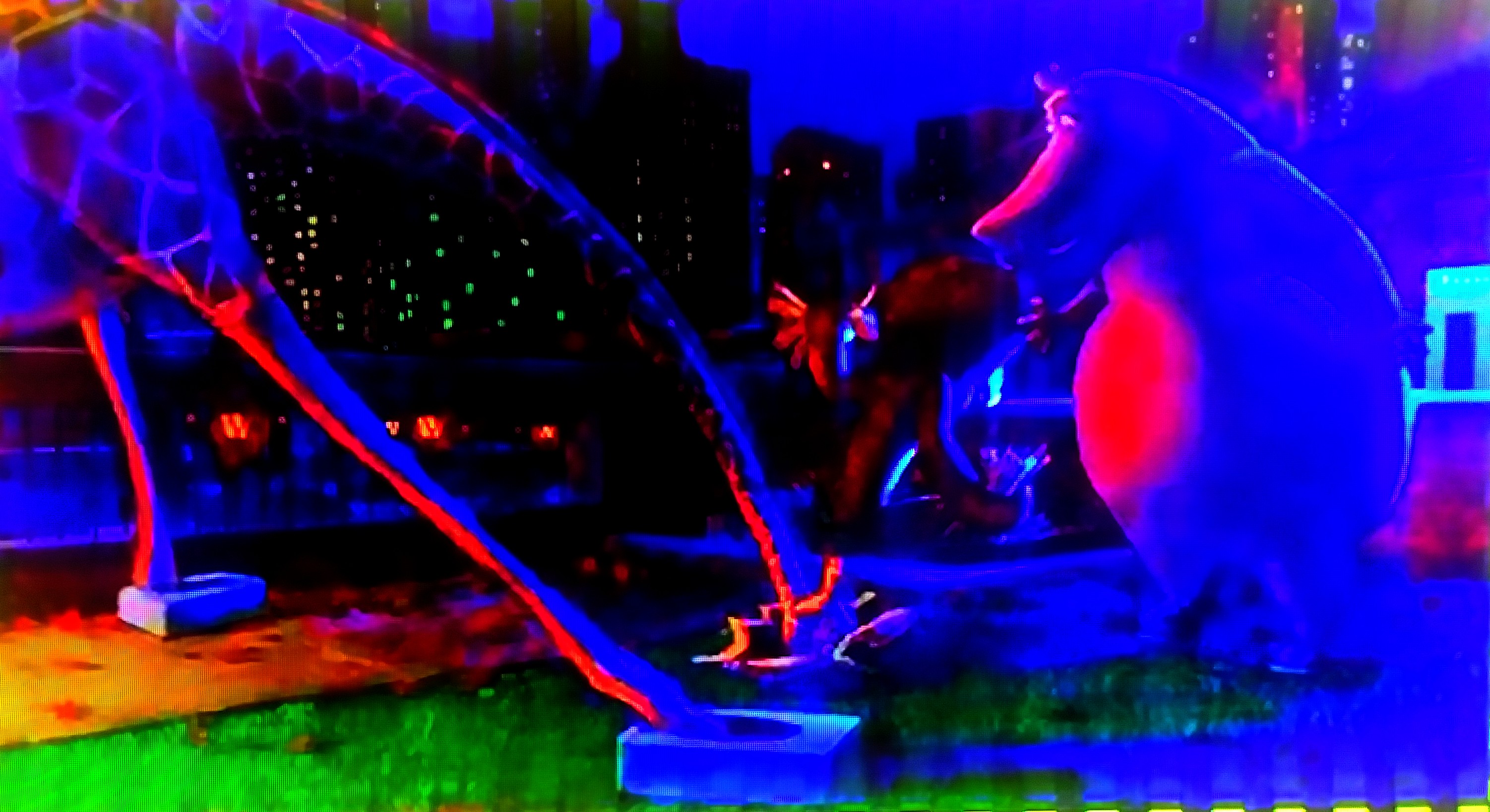 The Central Park Zoo Art 21 By 86et6 On DeviantArt the-central-park-zoo-art-21-by-86et6-on-deviantart