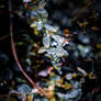 Droplets 10-21 01