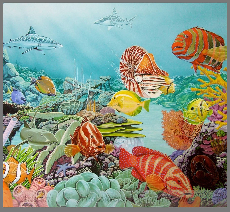 Reefscape Animation reef scene by markstewart on DeviantArt