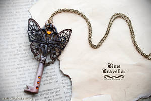 Butterfly key - Time Traveller