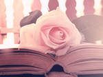 And I will love you.. by Dominikanin