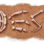 DESIGN fossil