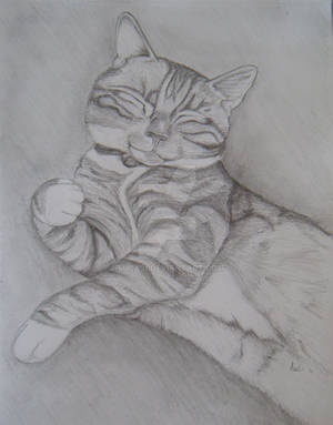Garfield, portrait of cat in pencil
