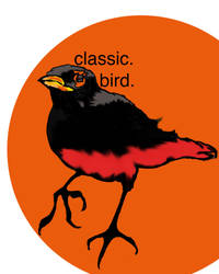 Classicbird Copy