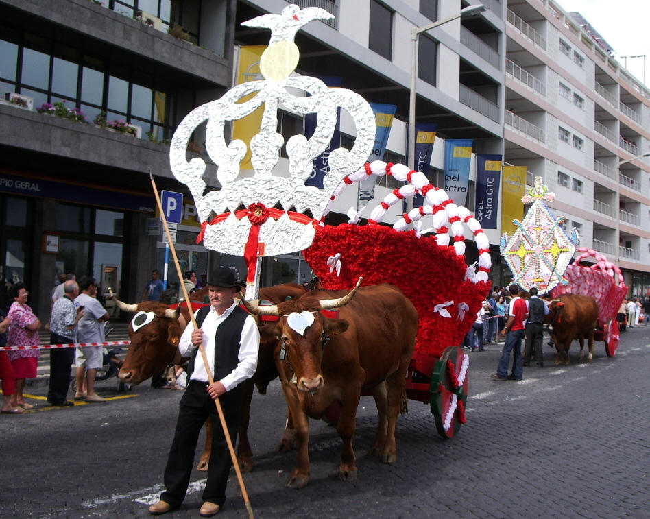 bulls Wagons by MetalSoulPt on DeviantArt bulls Wagons by MetalSoulPt on DeviantArt