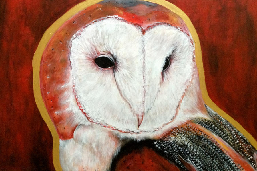 Dos Barn Owl