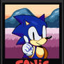 Sonic the sonic