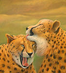 Cheetahs caress each other by CalciteMink1610