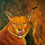 Caracal's portrait