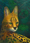 Serval's portrait - ultimate version, oils, 2010 by CalciteMink1610