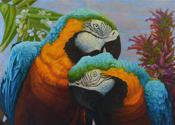 Two Parrots