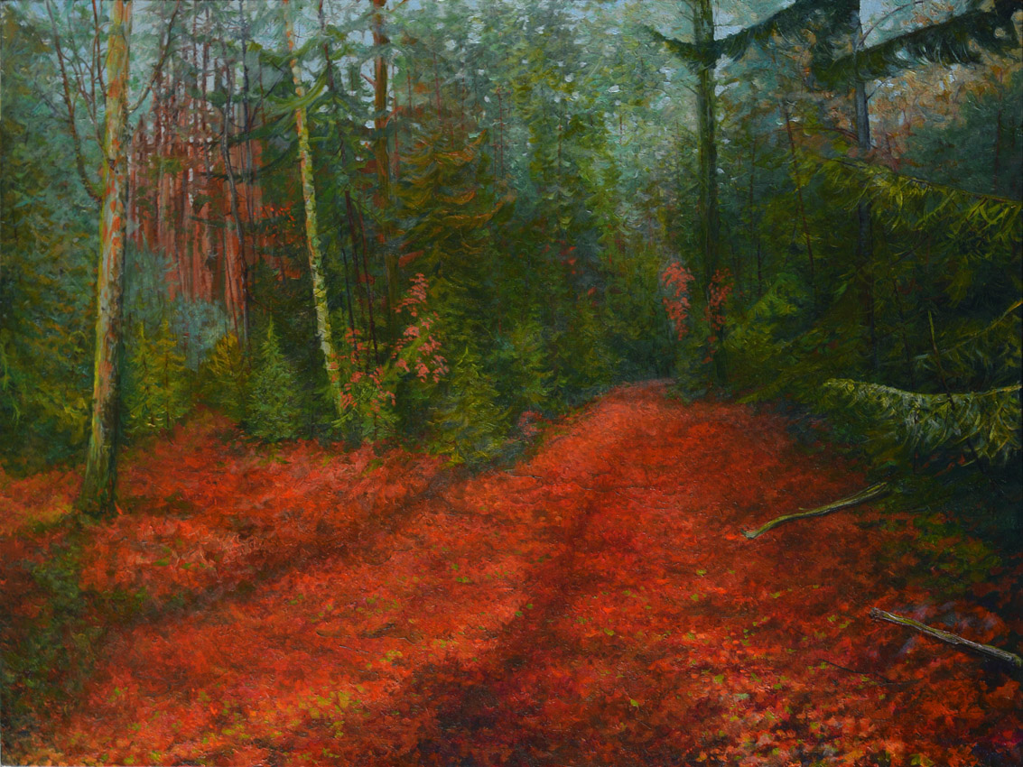 Red Carpet Of The  Forest At Evening