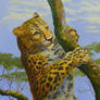 Young Leopard On Tree