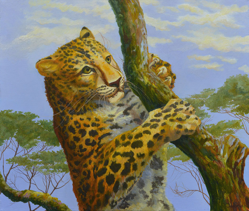 Девять животных. Анималистика леопард. Леопард картина. Картина леопард на дереве. Леопард картина маслом.