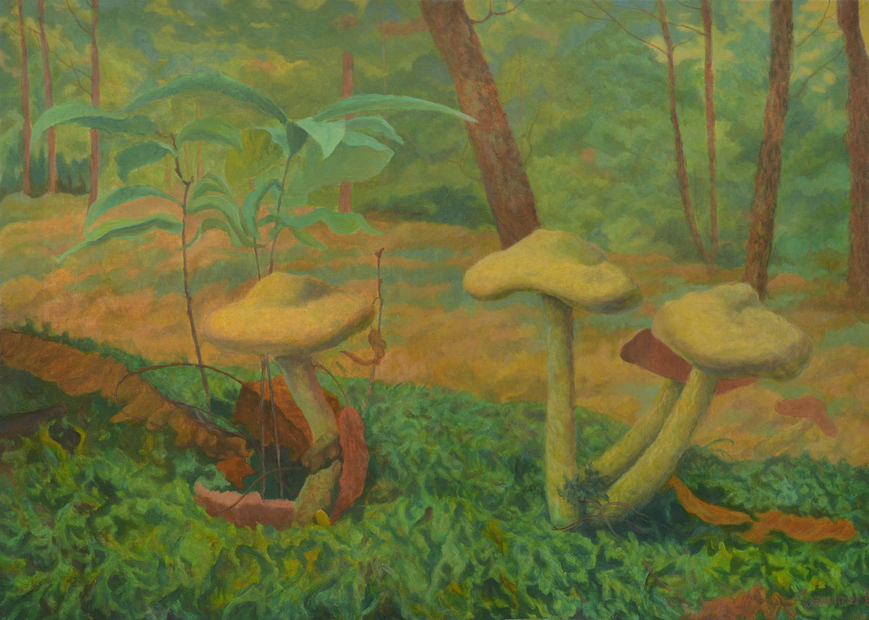 A Company Of Mushrooms