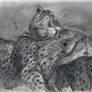 Cheetahs caress