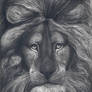 Lion from other planet (portrait)
