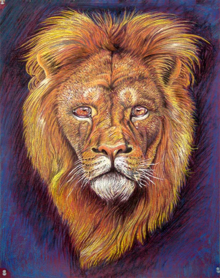 Old lion portrait 1st version