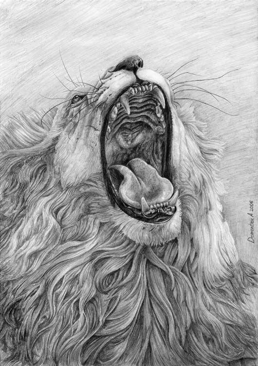 Lion's Mouth
