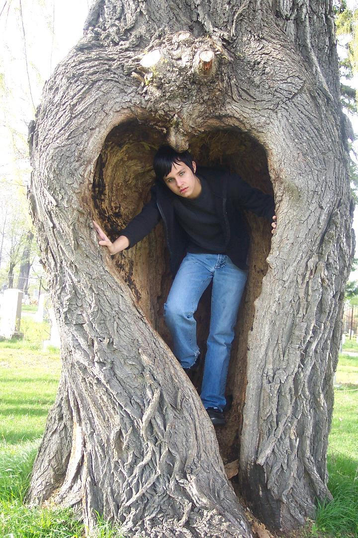 Peter Tree Peter tree Serie 1 by CosmiksquirelSTOCK on DeviantArt