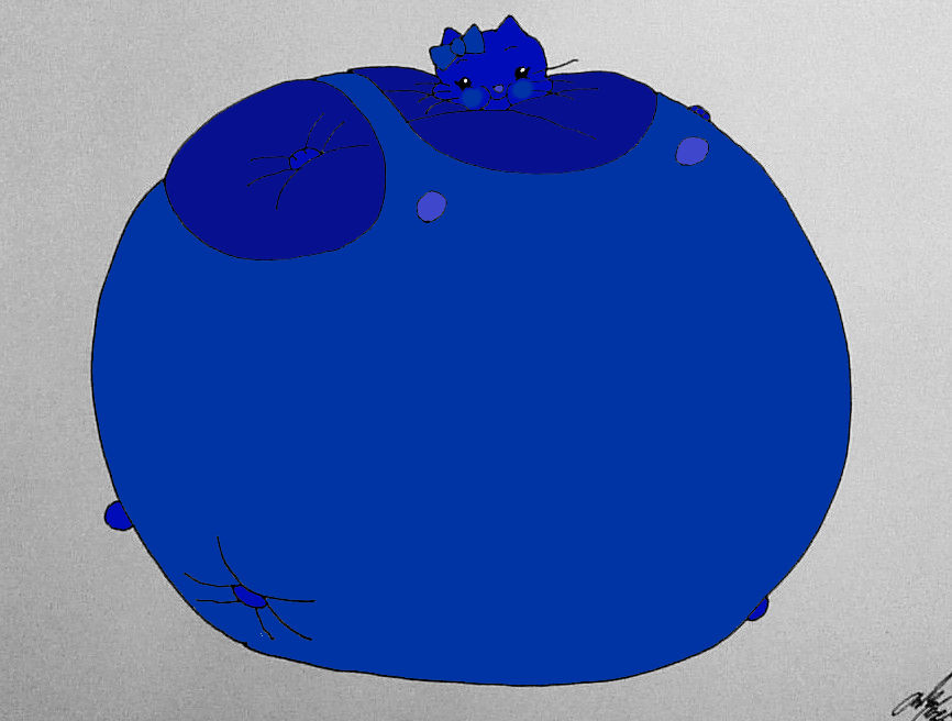 Sanrio Inflation Blueberry Hello Kitty! by MJLegacy on DeviantArt