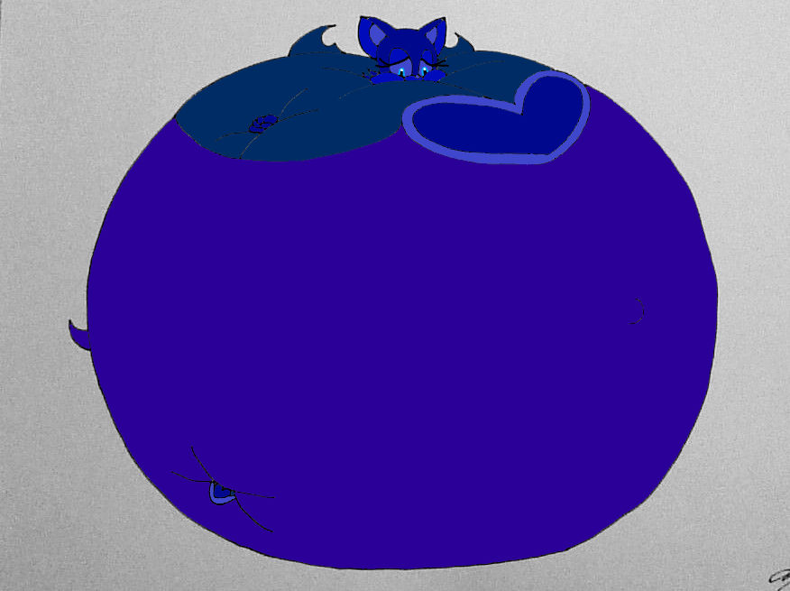 Rouge the Bat Blueberry Inflation by MJLegacy on DeviantArt