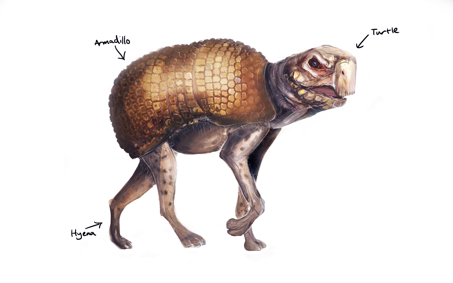 Tortoise Armadillo And Hyena Creature By Thegreatbritishgeek On Deviantart Tortoise Armadillo And Hyena Creature By Thegreatbritishgeek On Deviantart