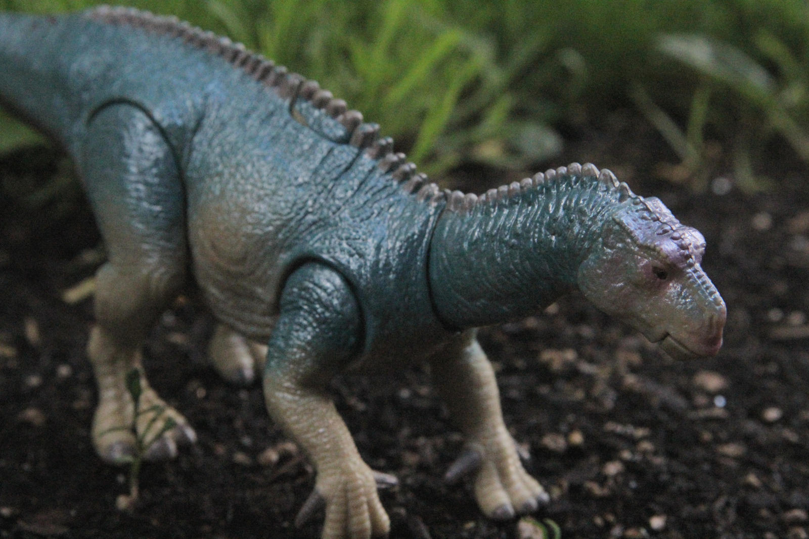 Iguanodon by kongzillarex619 on DeviantArt