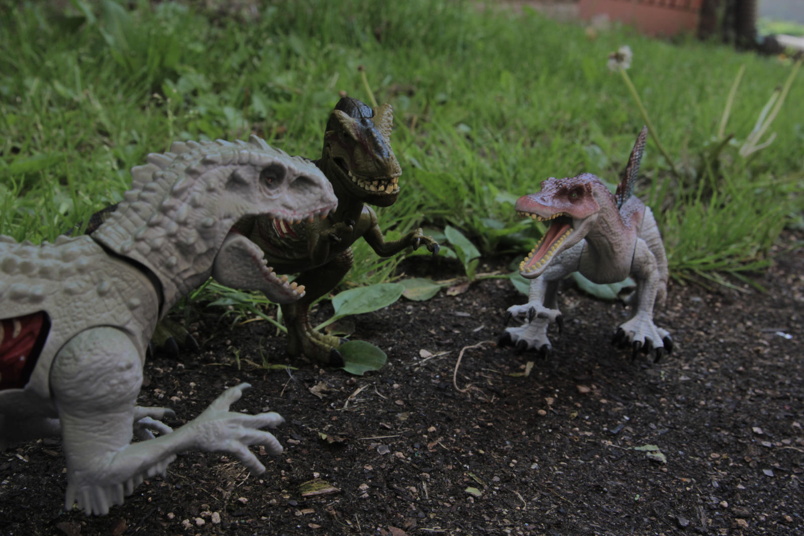Indominus Rex Vs Tyrannosaurus Rex Vs Spinosaurus By