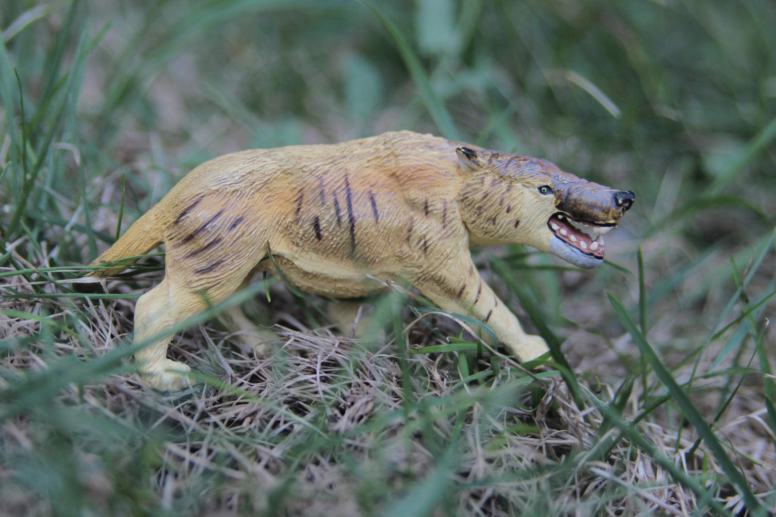 Andrewsarchus by kongzillarex619 on DeviantArt