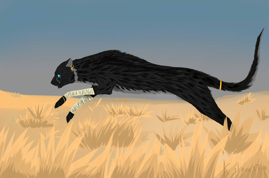 Issa by Aurnia-Cat-Venera on DeviantArt