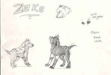 Zeke Black and white ref