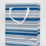 Shiny Striped Gift Bag