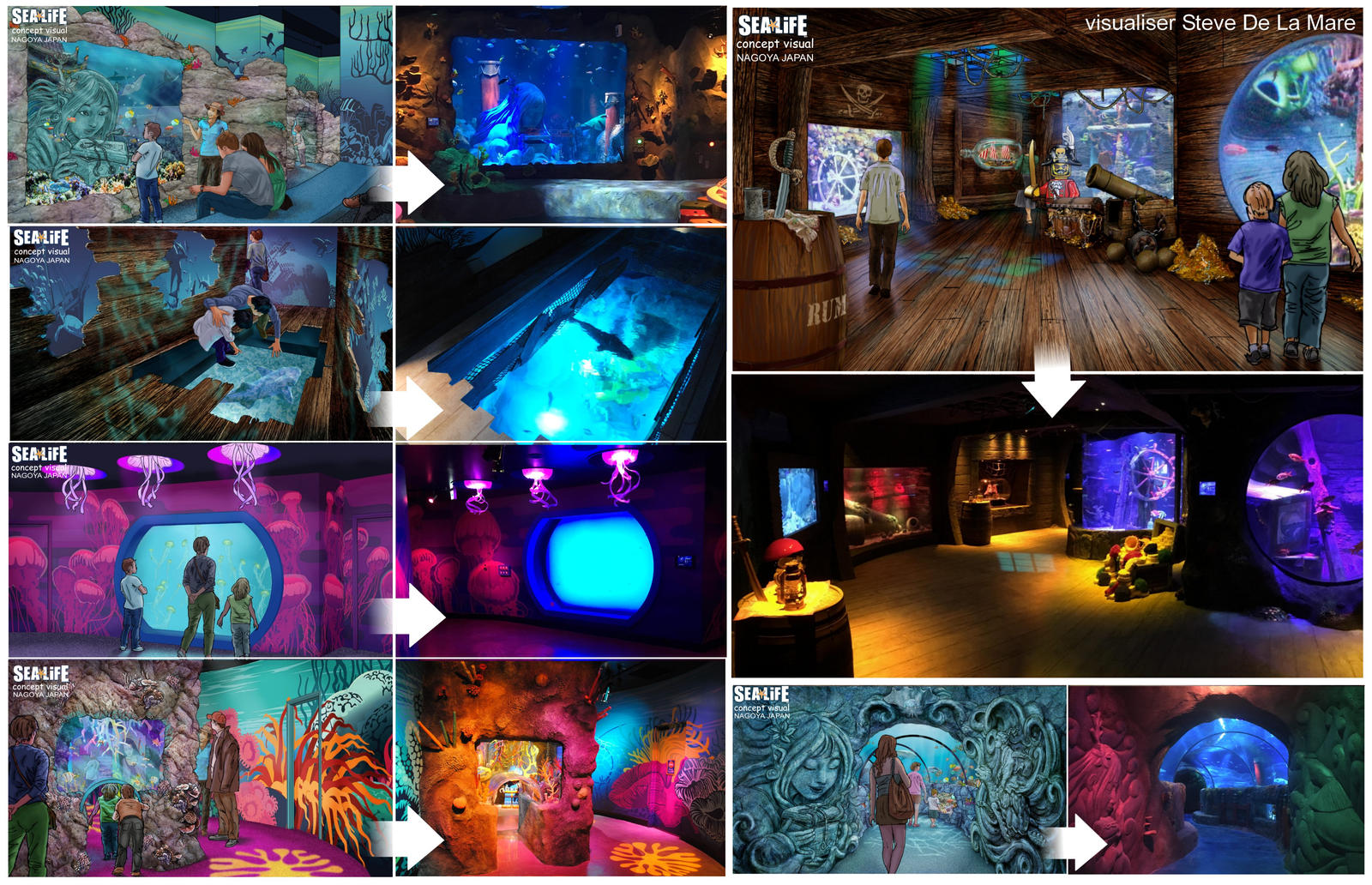 Sealife Visuals by SteveDeLaMare