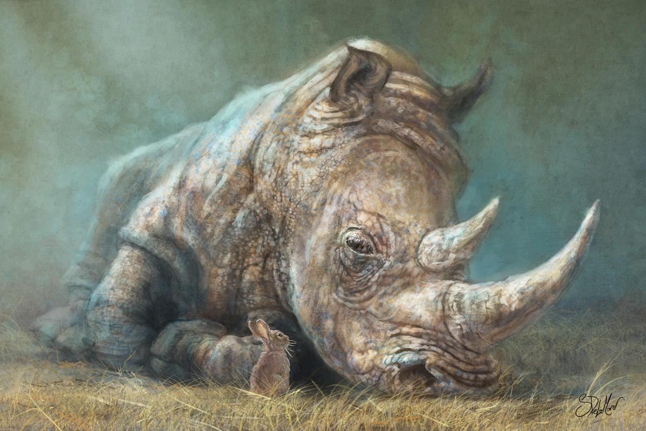 The Rhino and the Rabbit by SteveDeLaMare on DeviantArt