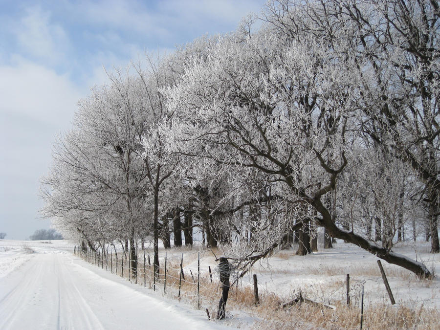 Winter Driveway