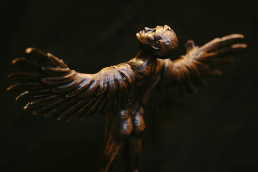 Icarus - Reverse Oblique - Unique Lost Wax Bronze