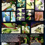 Ice Flygon COMIC page 10