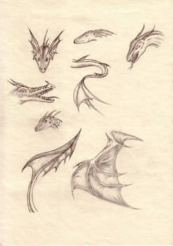 Dragon doodles