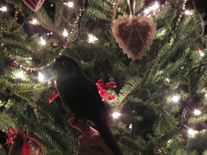 Loki's first christmas tree by ghelfaire Loki's first christmas tree by ghelfaire