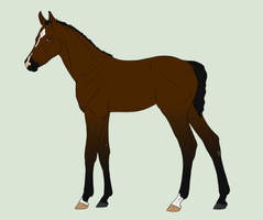 Foal design for BlueMoonStable