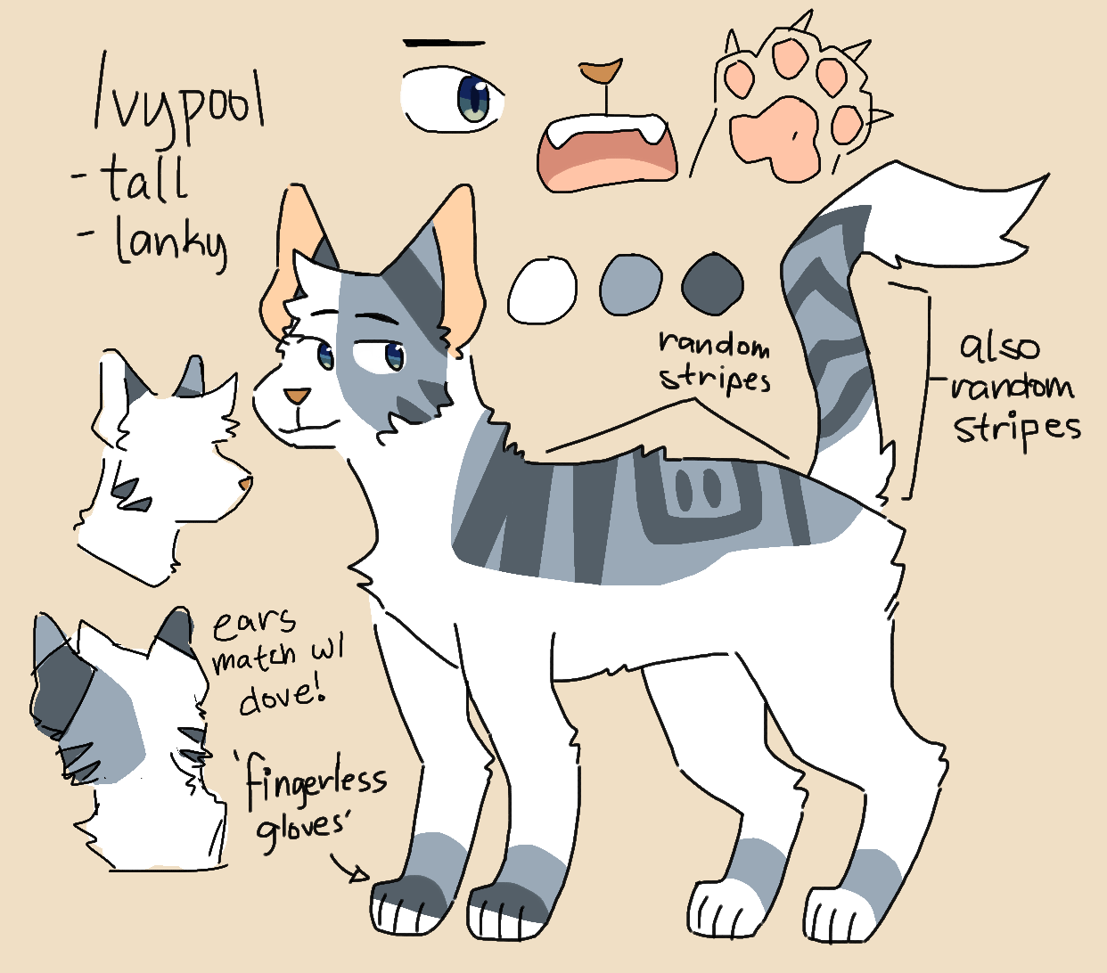 Ivypool Roseshards Ivypool Ref by zekross on DeviantArt