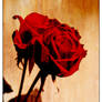 Rusted Rose