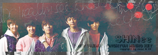 SHINee banner