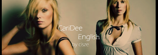 CariDee banner