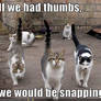 Funny-pictures-cats-would-snap-if-they-had-thumbs