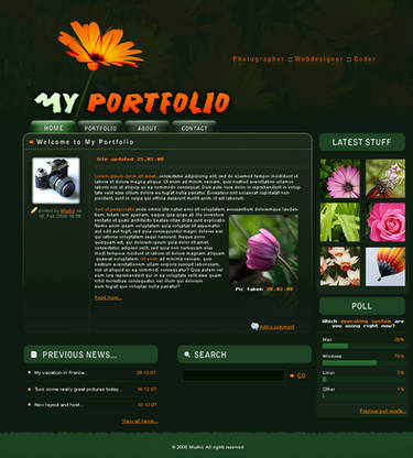 Portfolio template